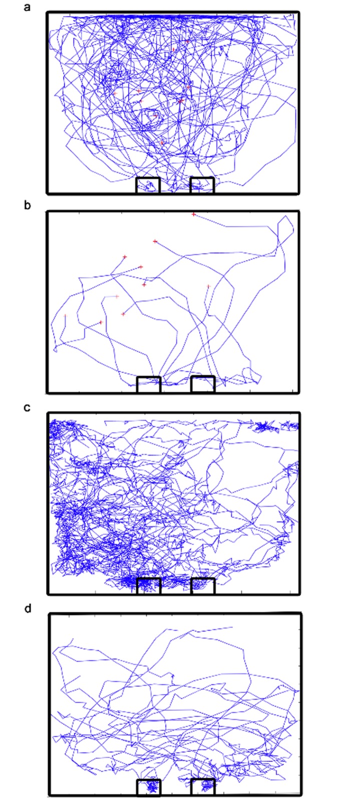 Fig 2