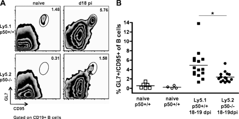 FIG. 7.