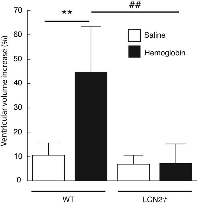 Figure 5