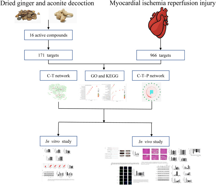 GRAPHICAL ABSTRACT