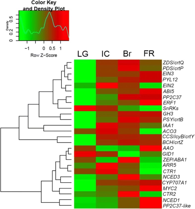 Fig. 4