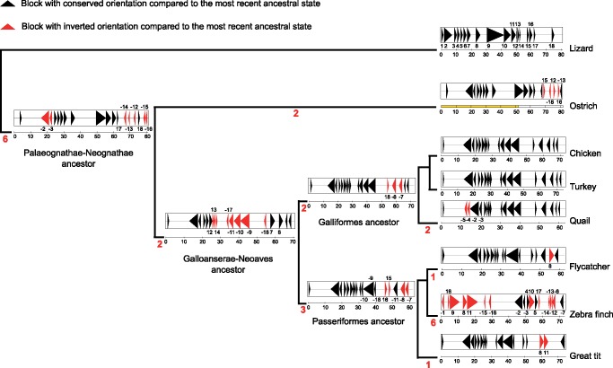 Fig. 3.