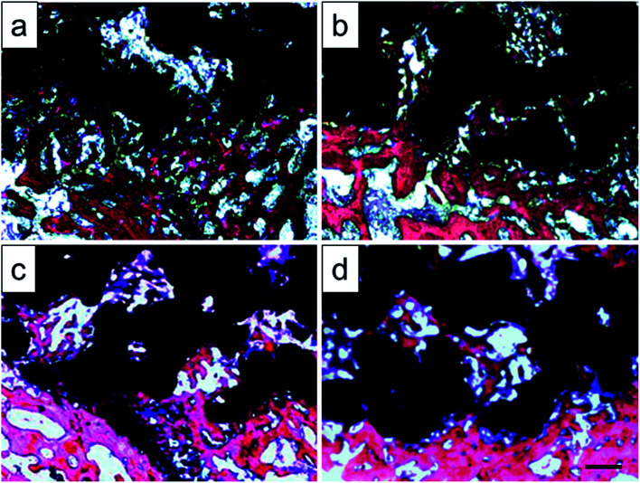 Fig. 13