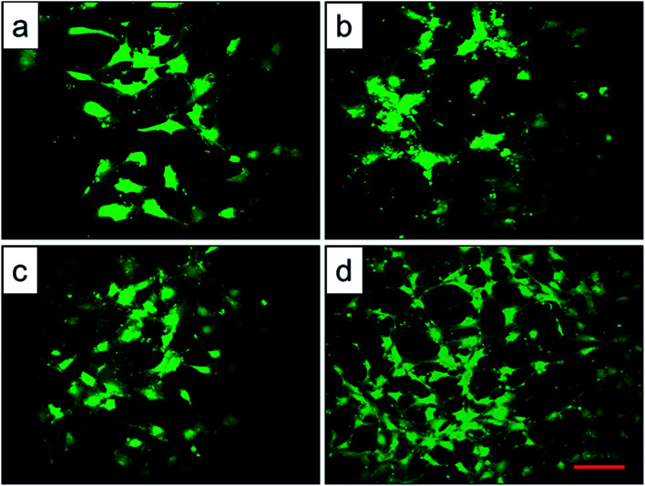 Fig. 9