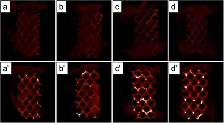 Fig. 10