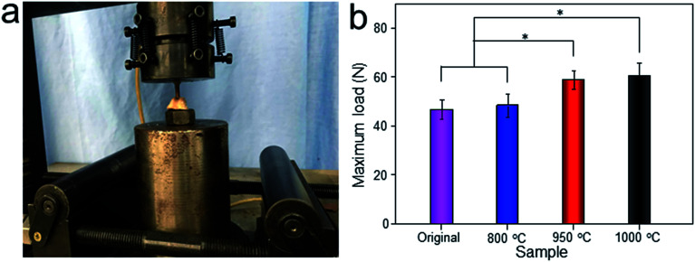 Fig. 12