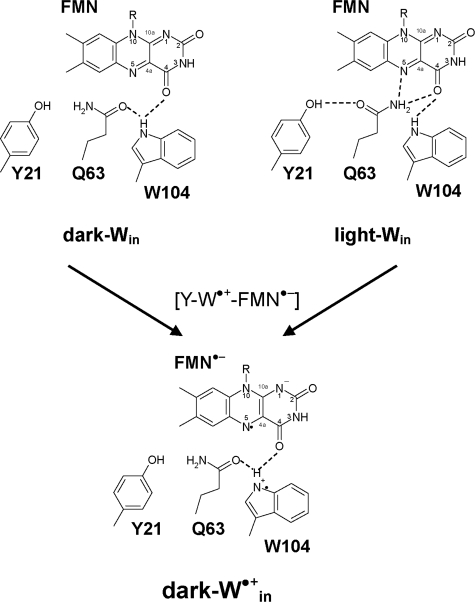 FIGURE 3.