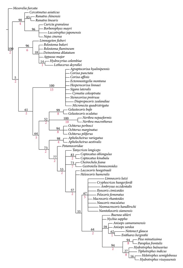 Figure 7