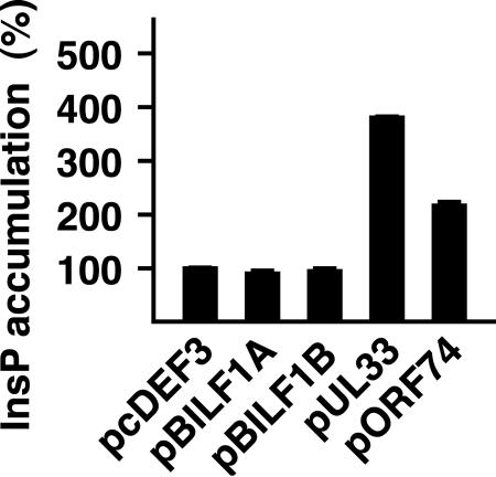 FIG. 5.