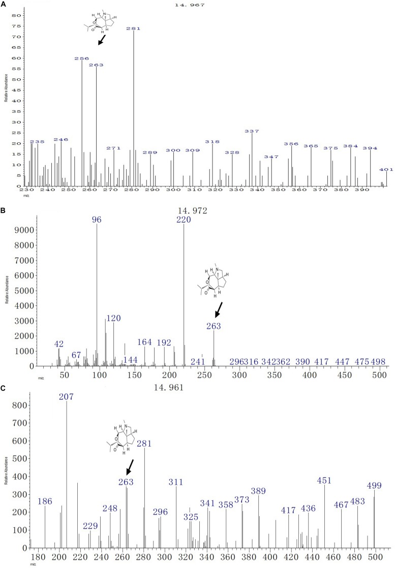 FIGURE 3