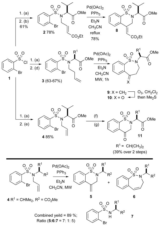 Scheme 1