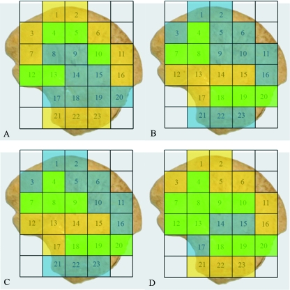 Fig. 7