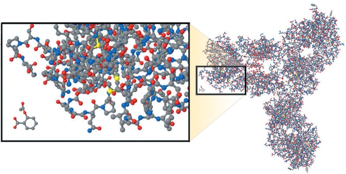 Figure 1)