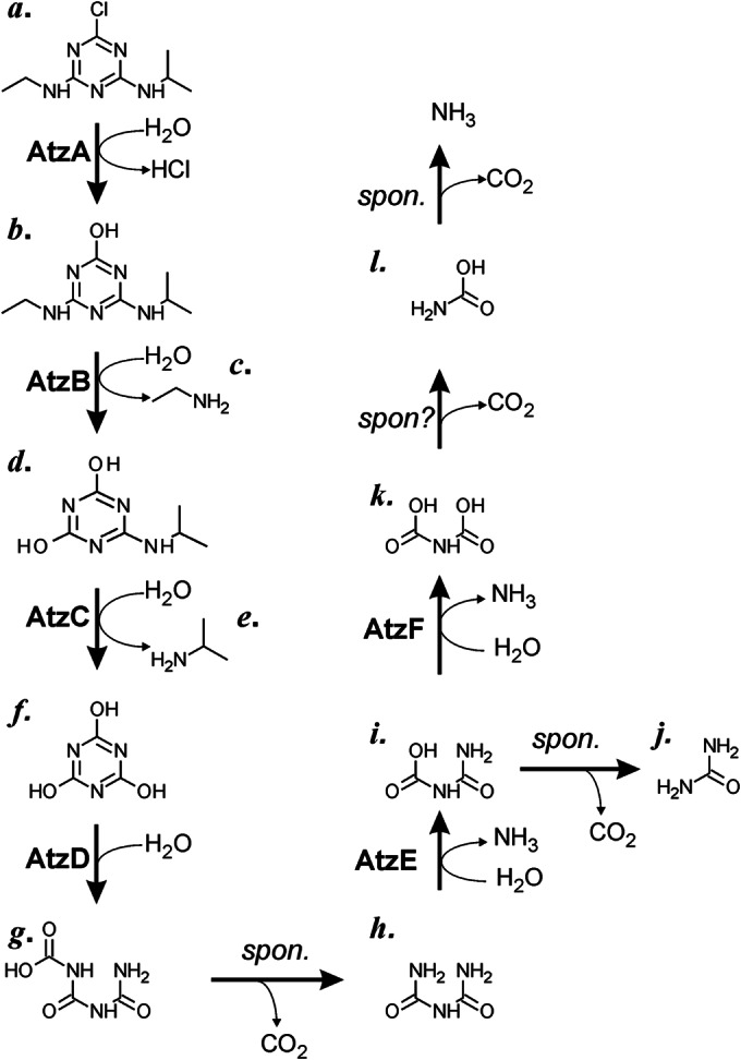 FIG 1