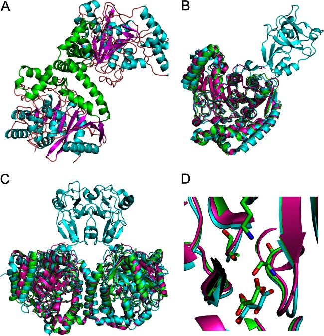 FIG 3