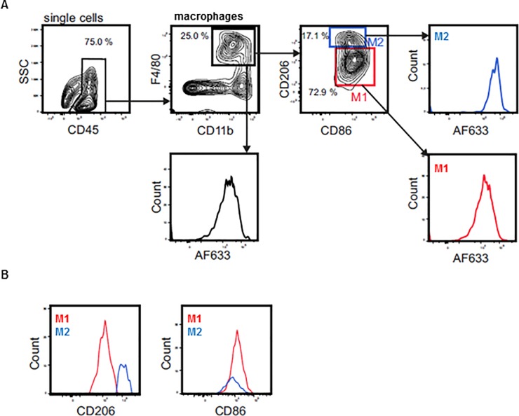 Fig 2