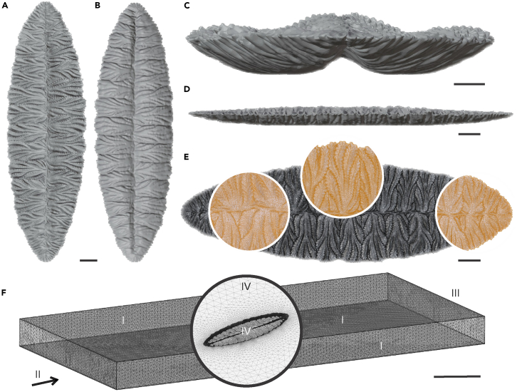 Figure 3