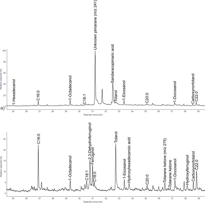 Podocarpaceae and Cupressaceae: A tale of two conifers and ancient ...