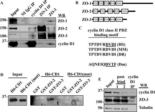 FIGURE 3: