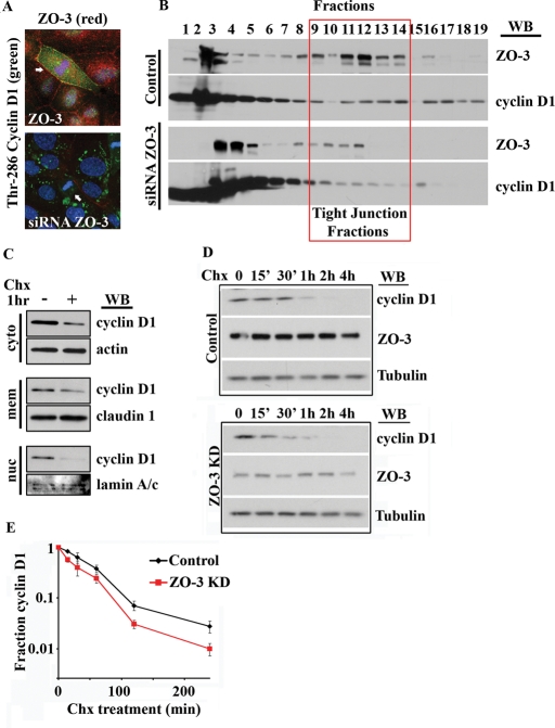 FIGURE 6: