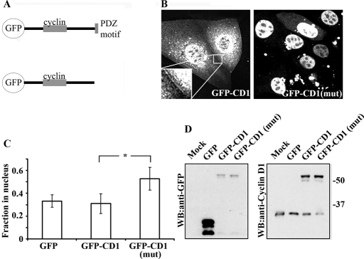 FIGURE 4: