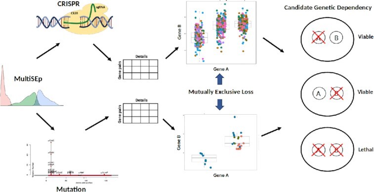 Graphical Abstract