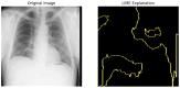 Figure 24