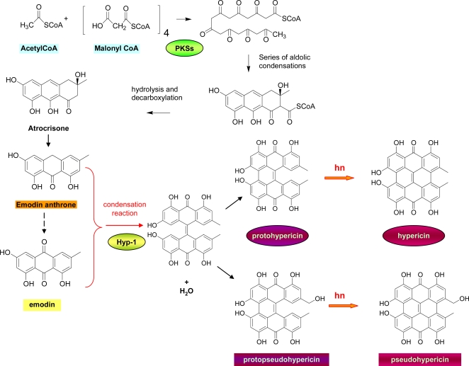 Figure 3.