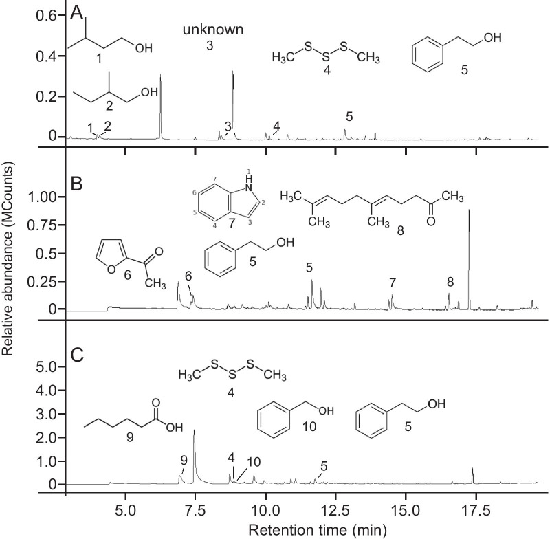 Fig. 4