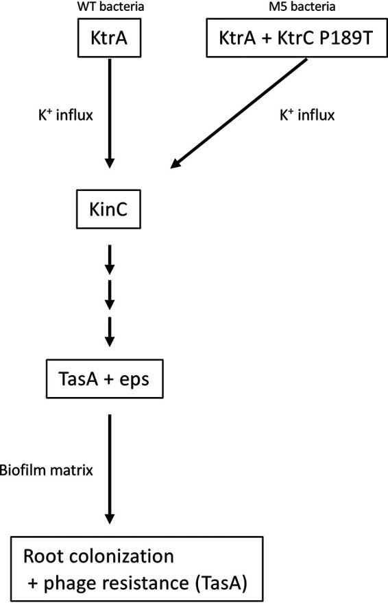 FIG 6