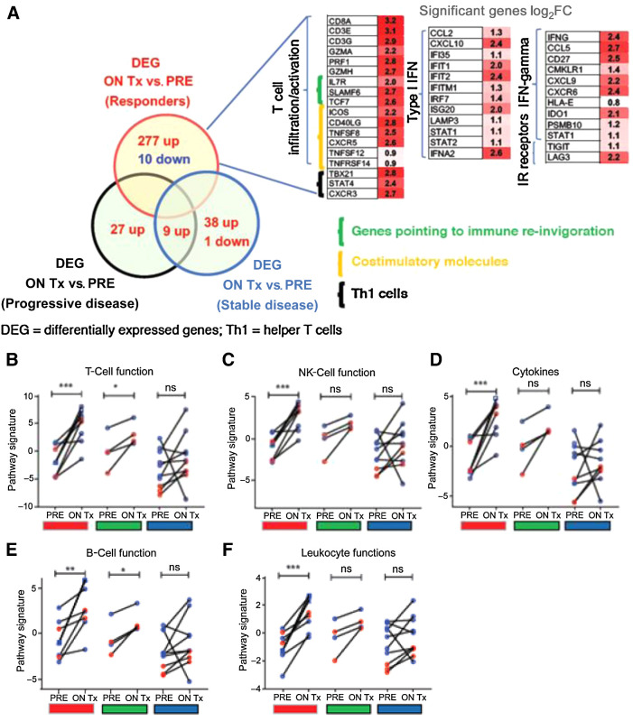 Figure 3. Treatment with SD-101 and pembrolizumab induces increased transcripts associated with A. T-cell function (B), NK-cell function (C), pro-inflammatory cytokines (D), B-cell function (E), and leukocyte function (F). These increases were observed primarily in responding patients (red) although there were also significant increases in the expression of transcripts associated with B- and T-cell function in patients with stable disease (green) as the best response. Data shown as open red circles (2 mg cohort) and blue circles (8 mg cohort). All patients included in the analysis had one biopsy at baseline and second biopsy 1 week following the fourth SD-101 treatment. One patient received two additional biopsies at day 106 (3 weeks after the sixth SD-101 injection, blue square) and day 190 (3 weeks after the 10th SD-101 injection, blue triangle). F, Broad changes in gene expression were observed primarily in responding patients including increased transcripts associated with T-cell infiltration and activation, type I IFN, IFNγ, and IR receptors. A–E, All statistical analyses were performed using Prism software v5 (GraphPad Software). A two-tailed paired t test was done between matched on-treatment (ON Tx) and baseline (PRE) biopsies. F, Analysis of changes in gene expression was performed using nSolver software (Nanostring). Differentially expressed genes (DEG; cutoff:LOG2FC ± 0.6, P = 0.05) in between matched on-treatment (ON Tx) and baseline (PRE) biopsies. *, P ≤ 0.05; **, P ≤ 0.01; ***, P ≤ 0.001; and ****, P ≤ 0.0001.