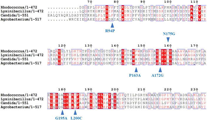 FIGURE 1