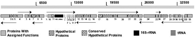 FIG. 2.