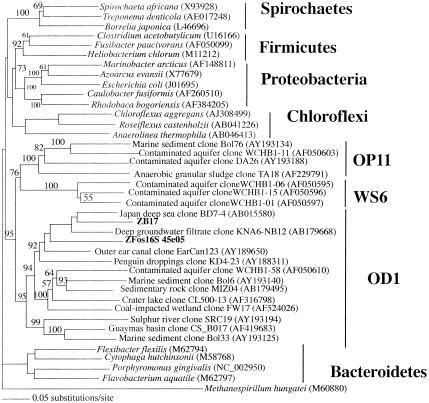 FIG. 1.