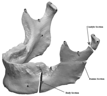 Fig. (7)