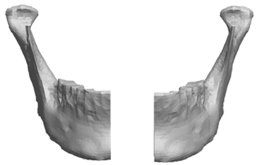 Fig. (4)