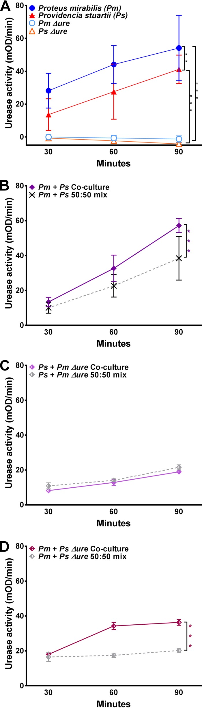 FIG 1