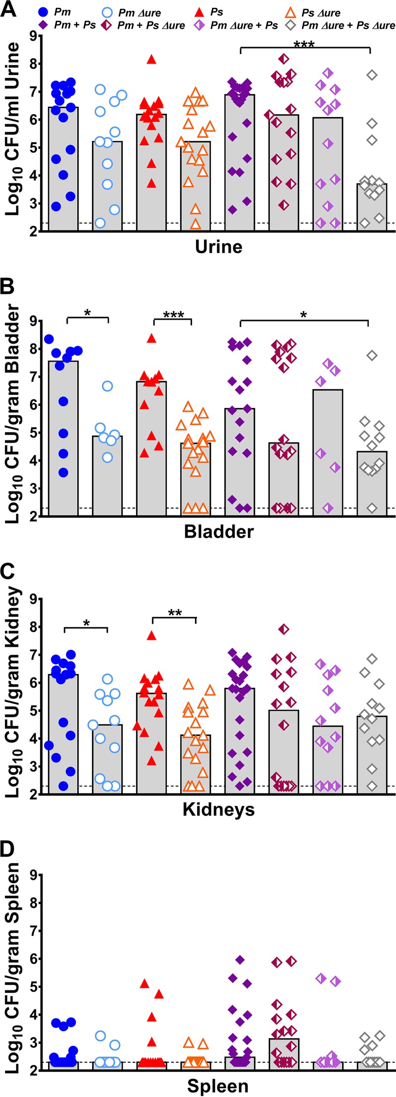 FIG 3