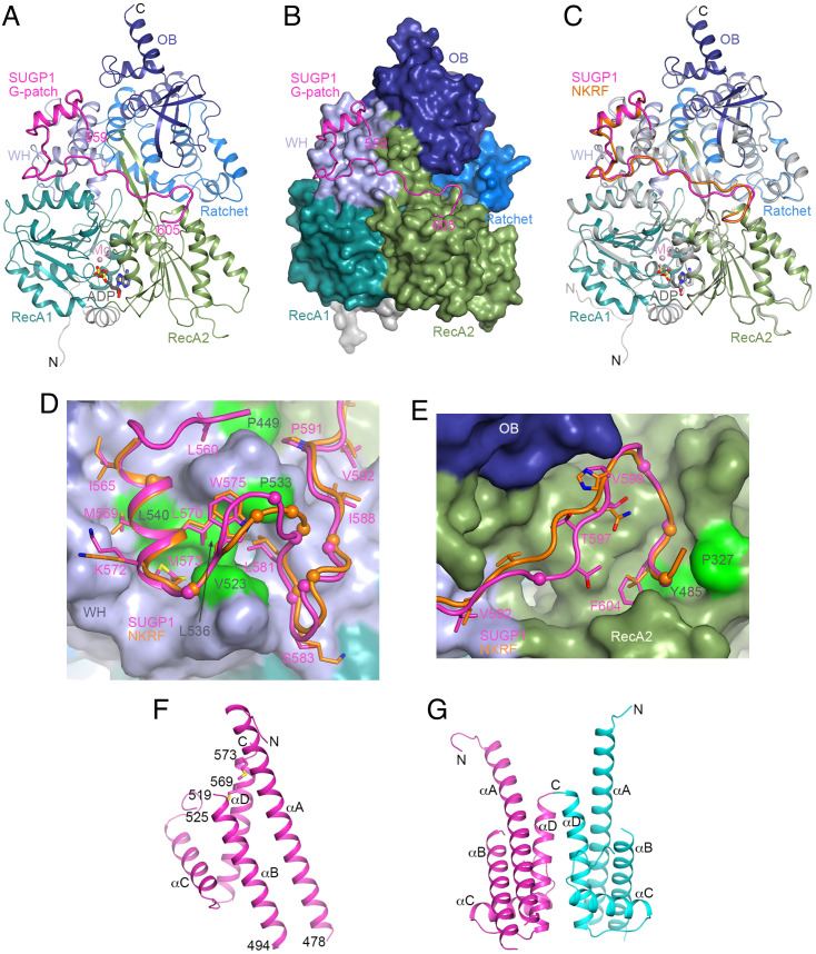 Fig. 7.