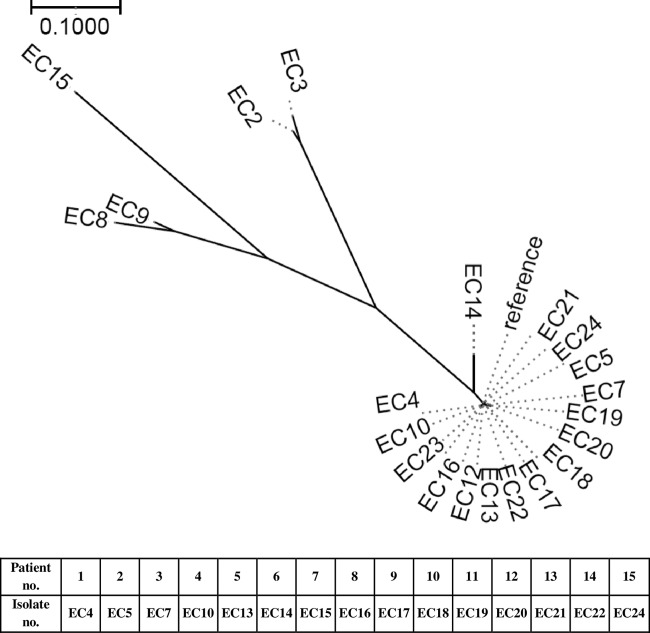 FIG 1