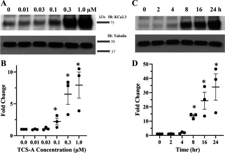 Figure 6.