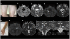 Figure 10.
