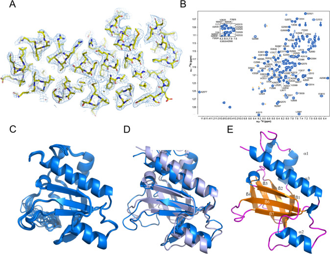 Figure 1—figure supplement 1.