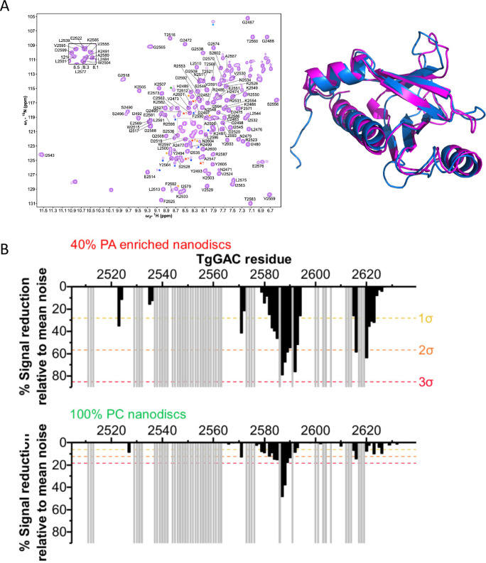 Figure 4—figure supplement 1.