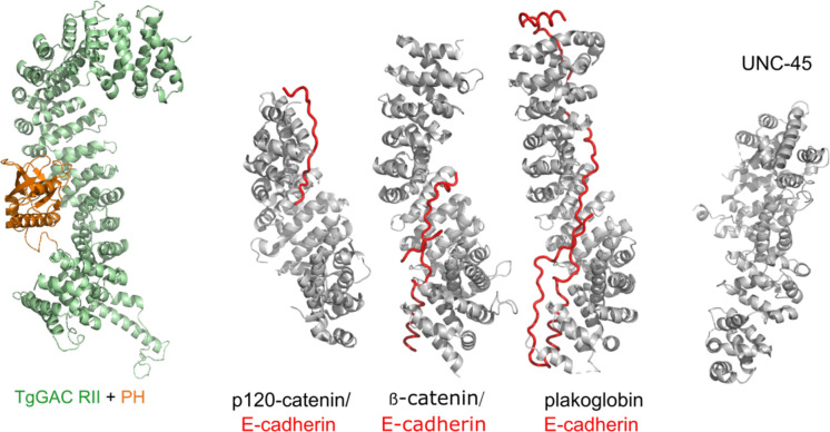 Figure 1—figure supplement 4.