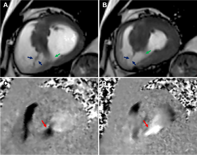 Figure 3