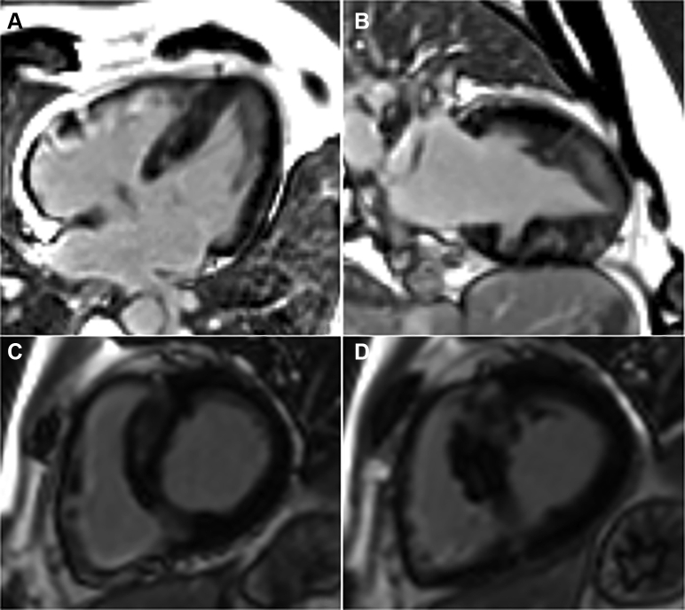 Figure 4