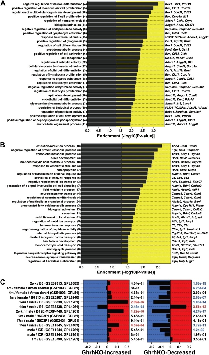 Figure 3—figure supplement 1.