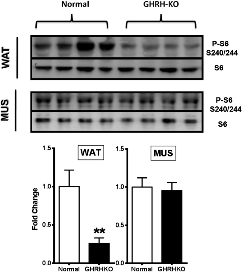 Figure 2—figure supplement 1.