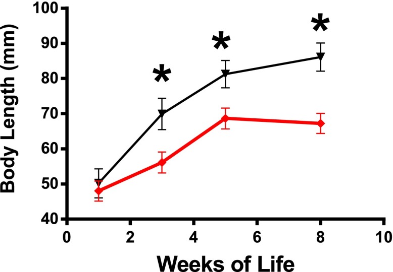 Figure 1—figure supplement 1.